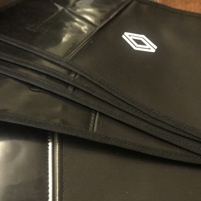 Renault in-car bag